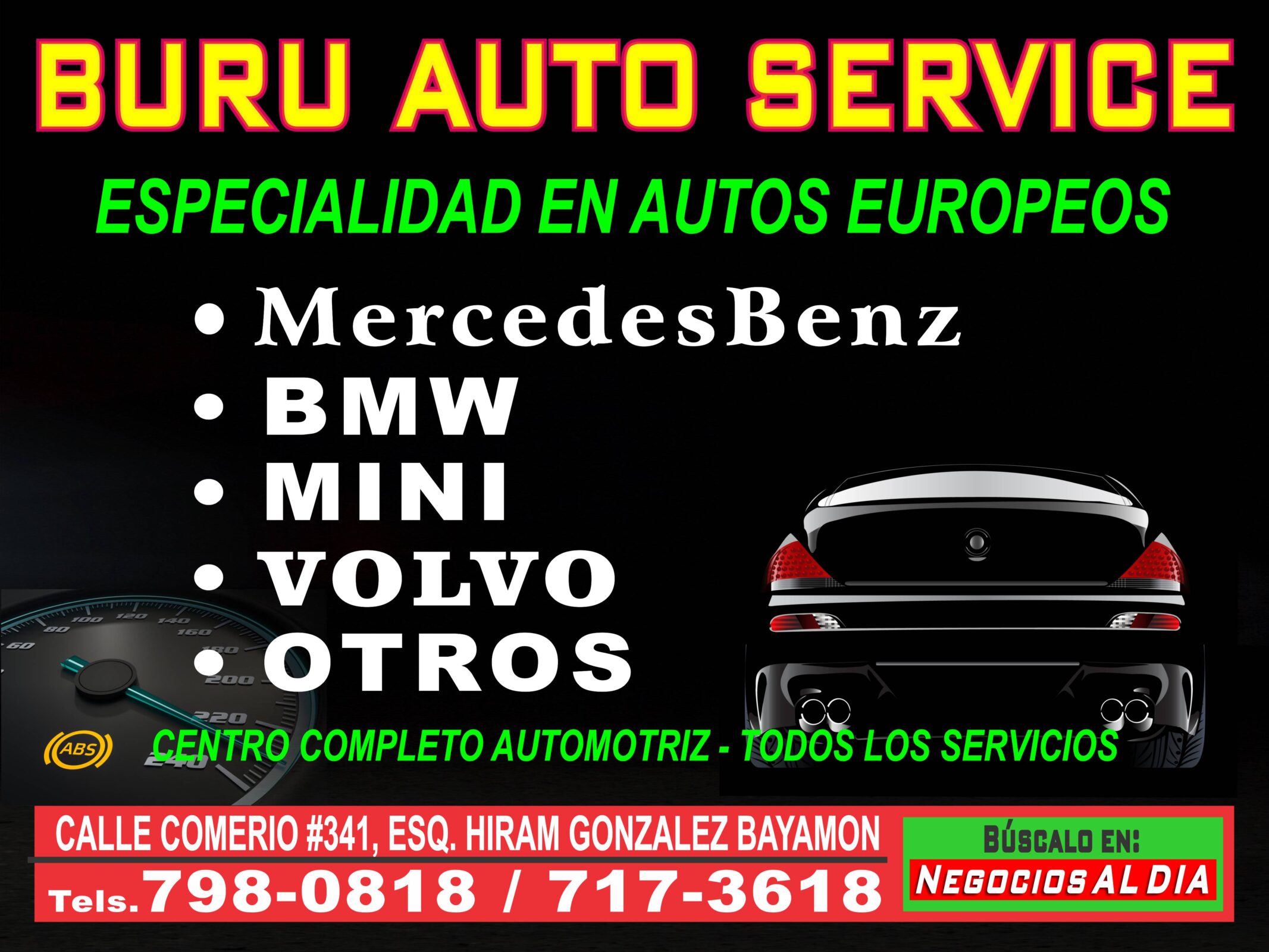 mecanico autos europeos bayamon puerto rico